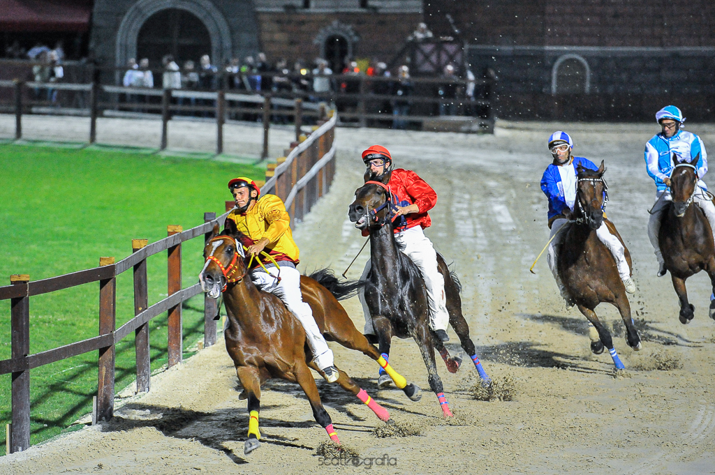 Provaccia 2015 - Palio di Legnano